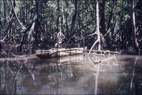 Molekula - Vanuatu, wyprawa do dungli mangrowej