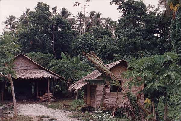 Vanuatu - wioska w dungli