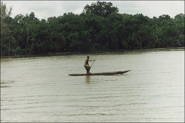 Sepik River - rybak w drodze do domu